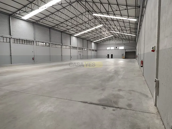main-listing-picture-0