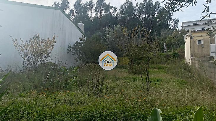 main-listing-picture-0