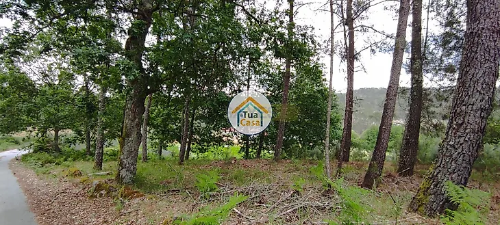 main-listing-picture-0