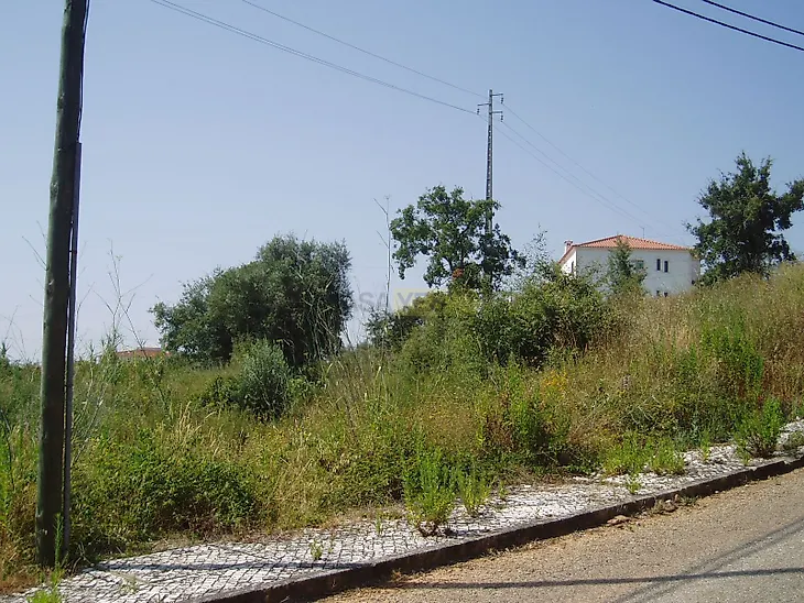 main-listing-picture-0