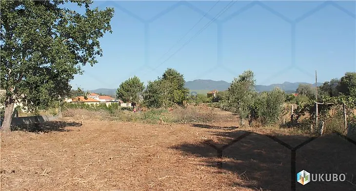 main-listing-picture-0