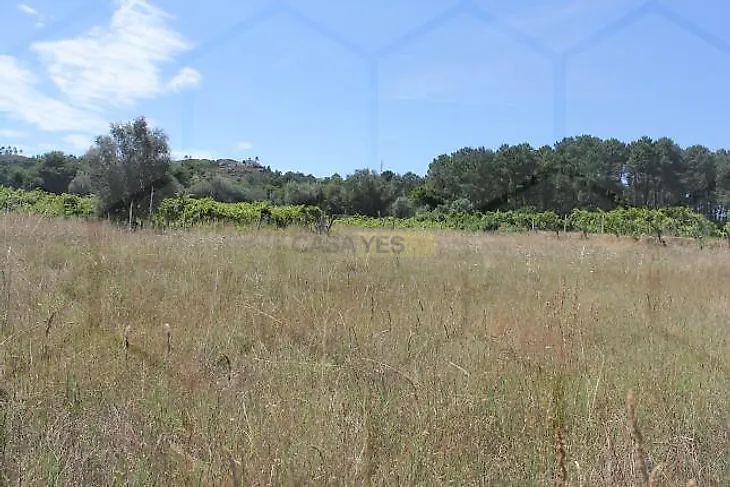 main-listing-picture-0