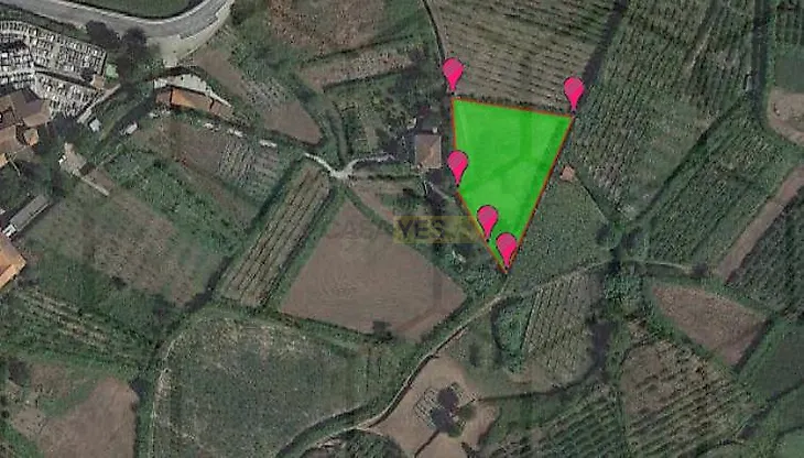 main-listing-picture-0