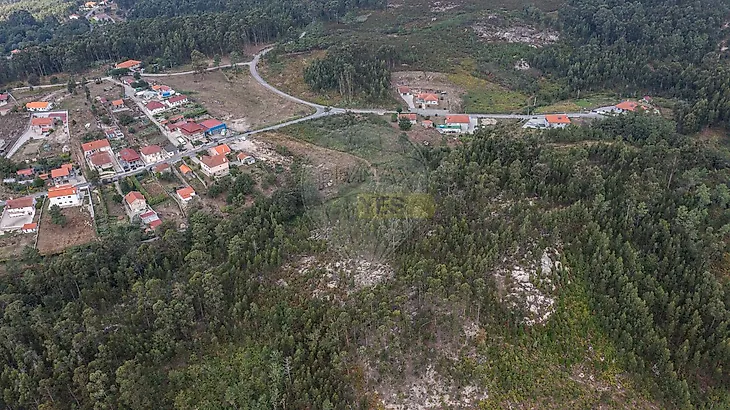 main-listing-picture-0