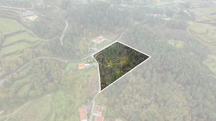 main-listing-picture-0