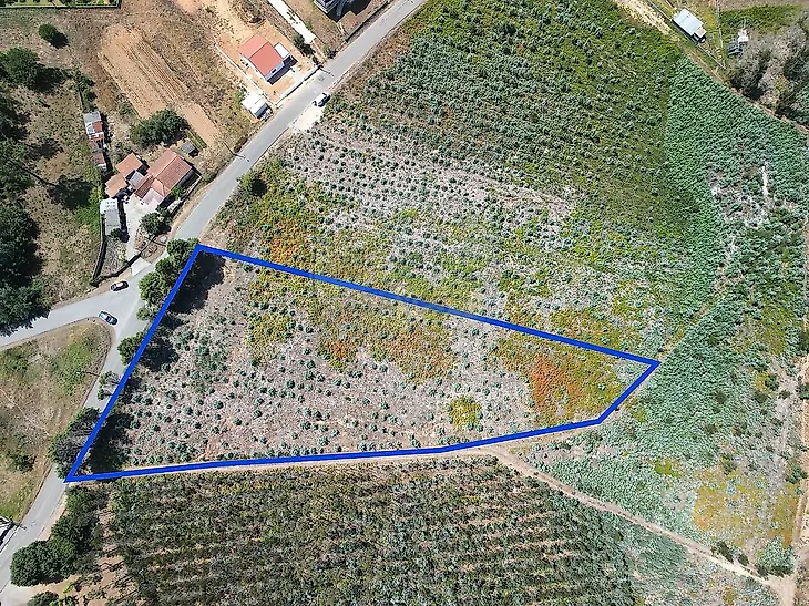 main-listing-picture-0
