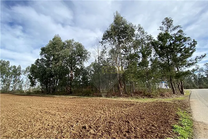 main-listing-picture-0