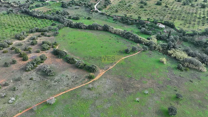 main-listing-picture-0