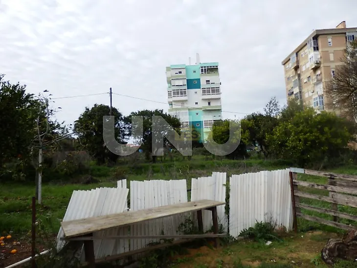 main-listing-picture-0