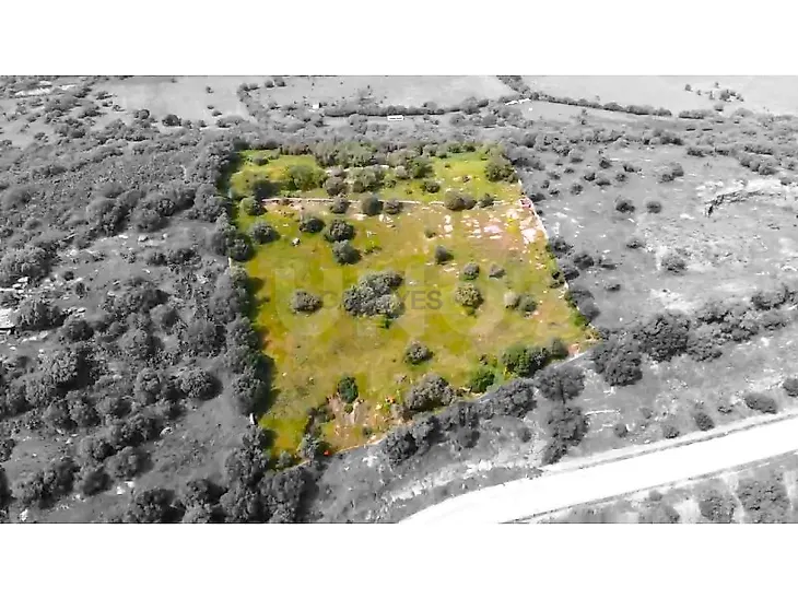 main-listing-picture-0