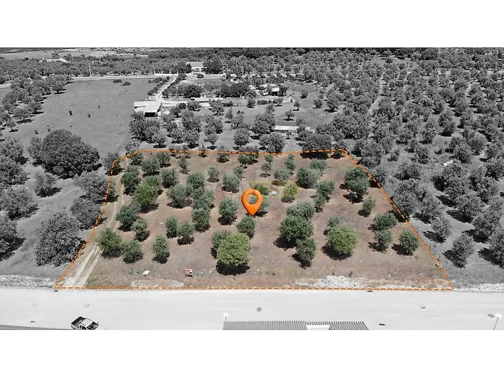main-listing-picture-0