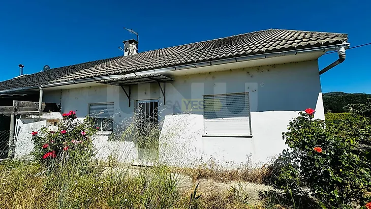 main-listing-picture-0
