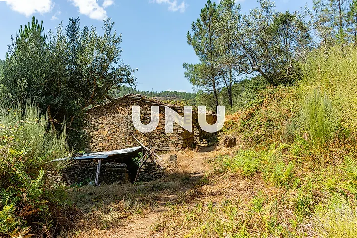 main-listing-picture-0