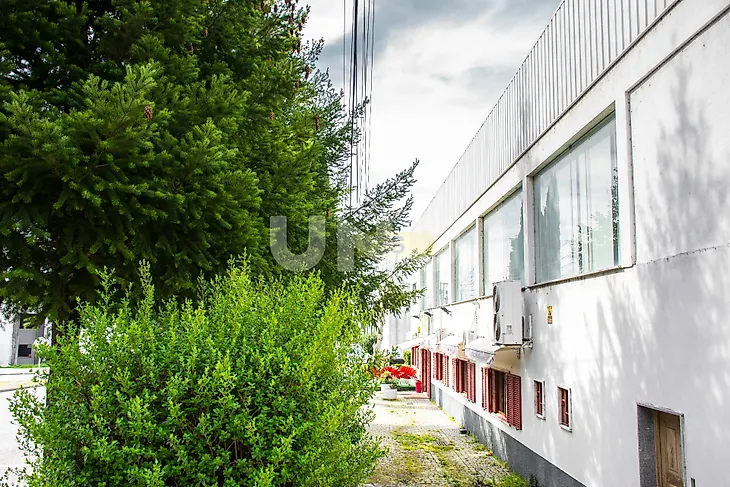 main-listing-picture-0
