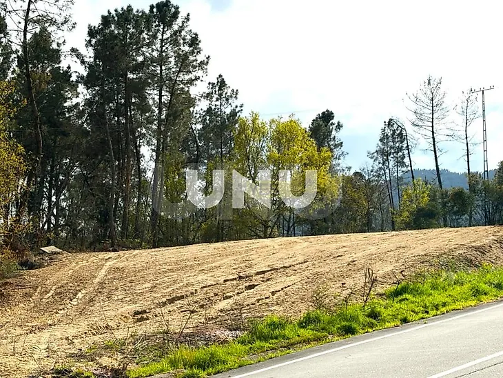 main-listing-picture-0
