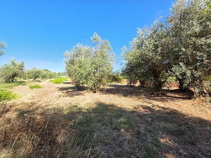main-listing-picture-0