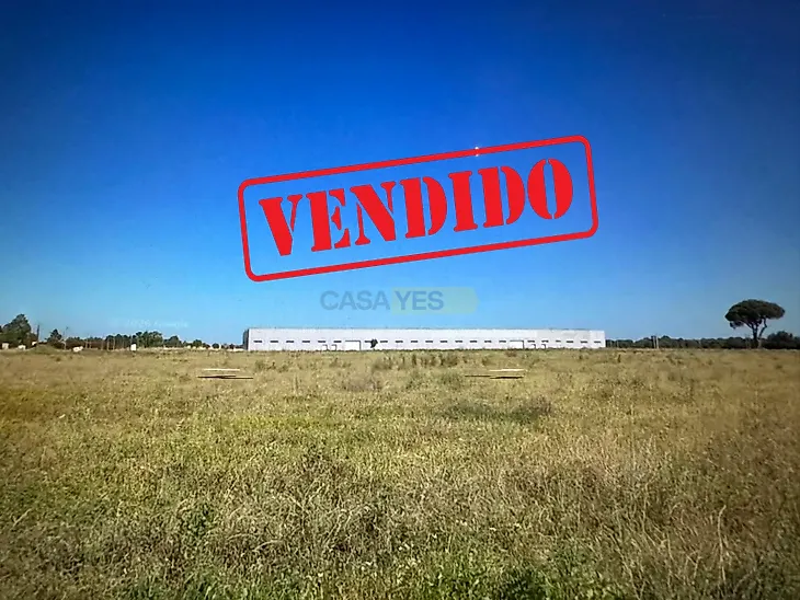 main-listing-picture-0