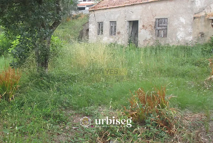 main-listing-picture-0