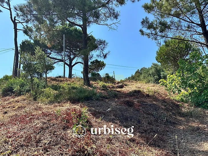 main-listing-picture-0