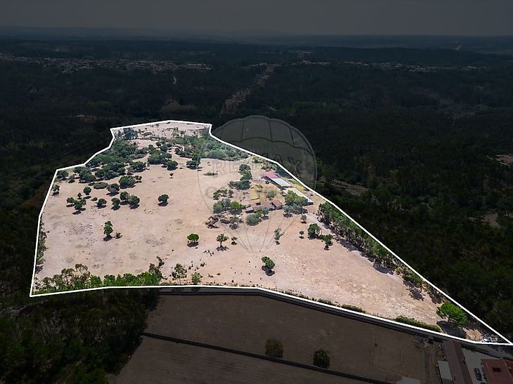 main-listing-picture-0