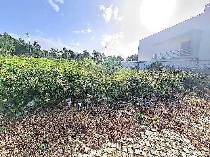 main-listing-picture-0