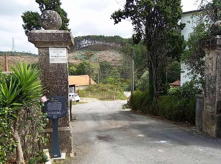 main-listing-picture-0