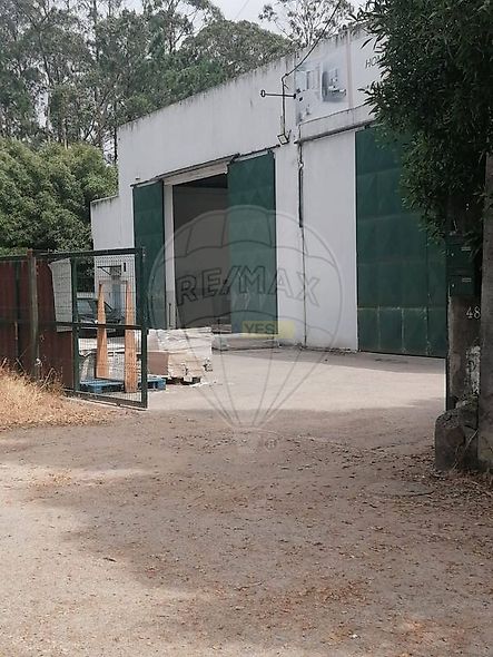 main-listing-picture-0