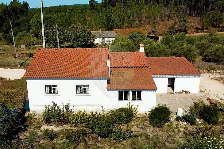 main-listing-picture-0