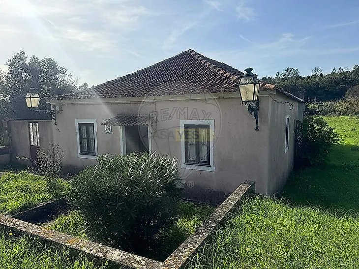 main-listing-picture-0