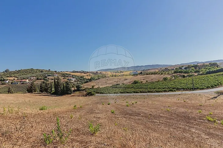 main-listing-picture-0