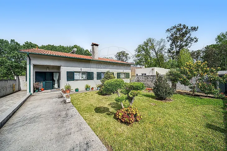 main-listing-picture-0