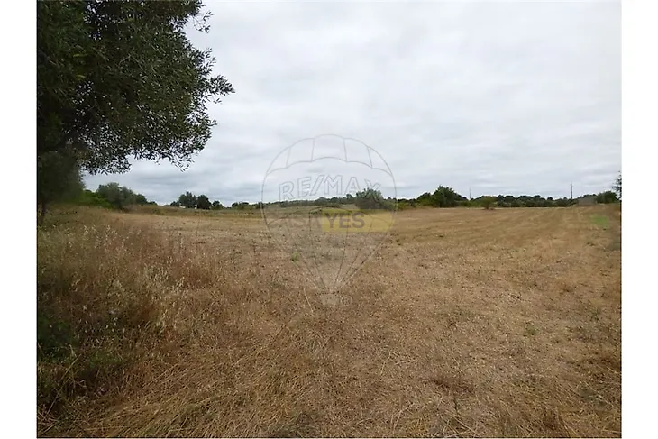 main-listing-picture-0