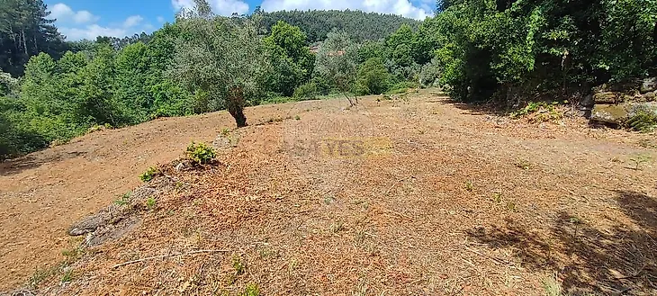main-listing-picture-0