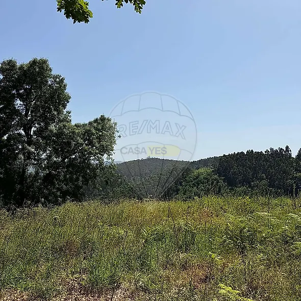 main-listing-picture-0