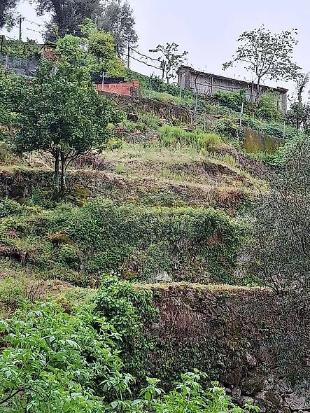 main-listing-picture-0
