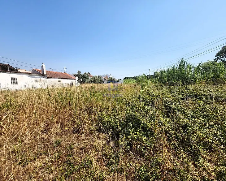 main-listing-picture-0