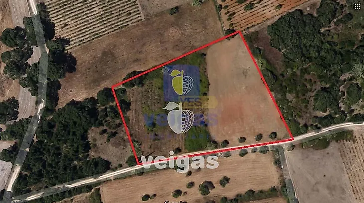 main-listing-picture-0