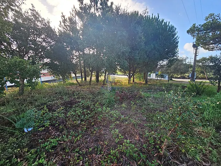 main-listing-picture-0