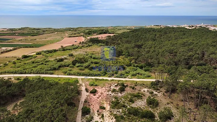 main-listing-picture-0