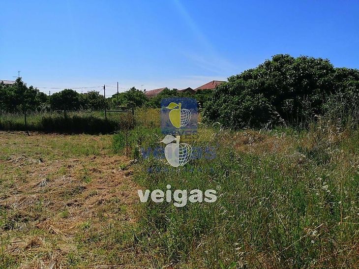 main-listing-picture-0