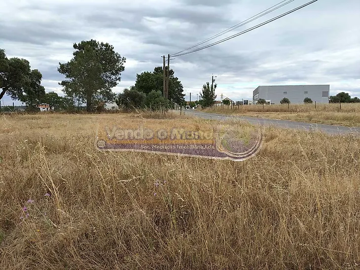 main-listing-picture-0
