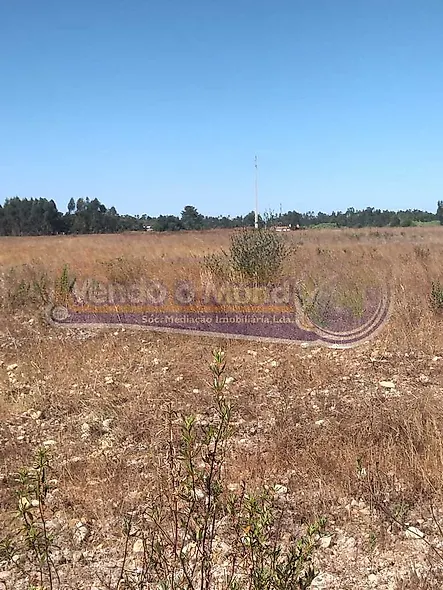 main-listing-picture-0
