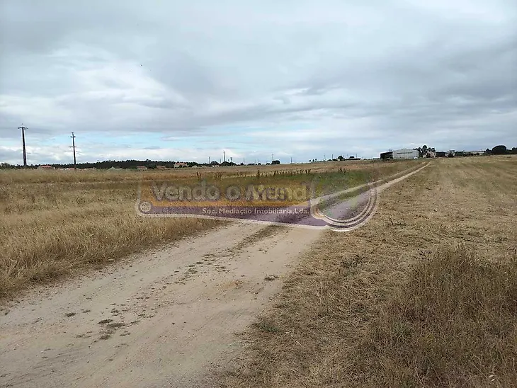 main-listing-picture-0