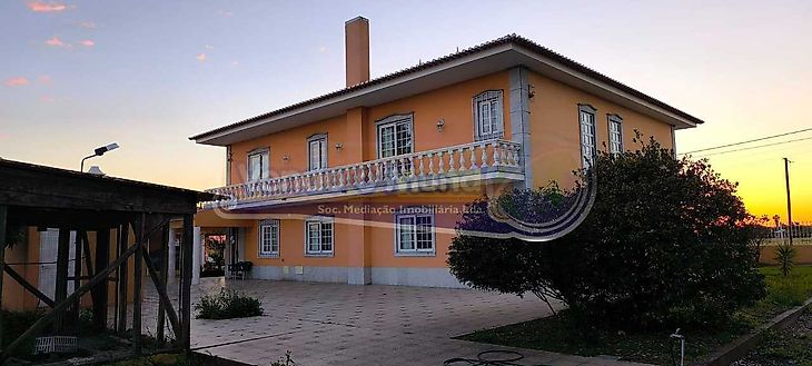 main-listing-picture-0