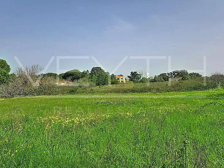main-listing-picture-0