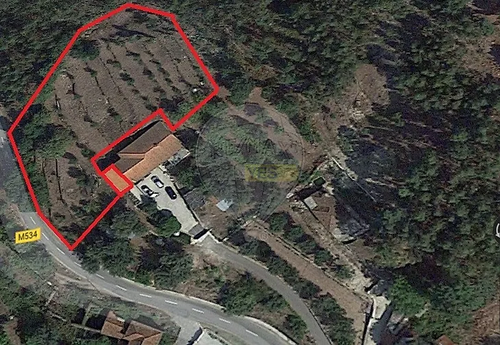 main-listing-picture-0