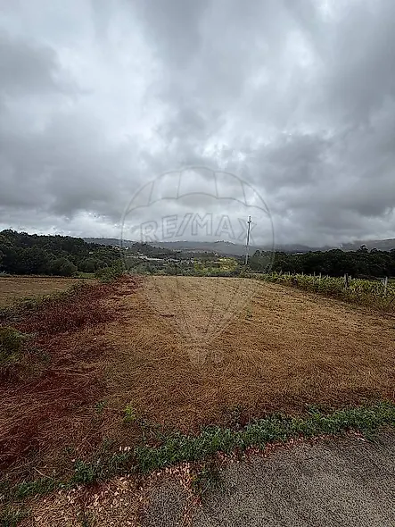 main-listing-picture-0