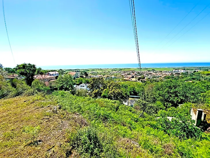 main-listing-picture-0
