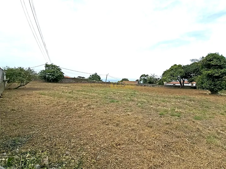 main-listing-picture-0