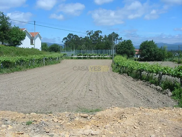 main-listing-picture-0